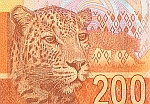 South Africa P137 (New) 2013 200 Rand, Mandela(Leopard)(150).jpg